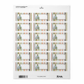 1.25 "x2.75" Mailingadres Laguna Beach Turtle Etiket (Full Sheet)