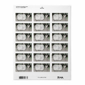 1,25 "x2,75" Zakelijk postadres Label katoen p (Full Sheet)