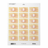 1.25 "x 2.75" Hershey's Miniature Paris Peach Etiket (Full Sheet)