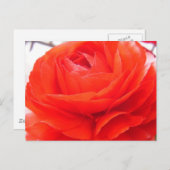 1 4 U BRIEFKAART (Voorkant / Achterkant)