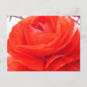 1 4 U BRIEFKAART (Voorkant)