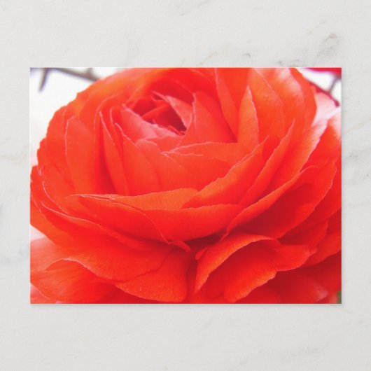 1 4 U BRIEFKAART (Voorkant)