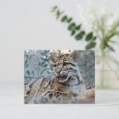 1 4x6 briefkaart (Staand voorkant)