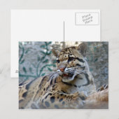 1 4x6 briefkaart (Voorkant / Achterkant)