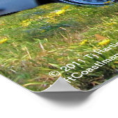 1.971 MB 280SE 3.5 Converteerbaar POSTER (Hoek)