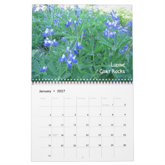 1, Alpiene Wildflower Goat Rocks, Mt Hood en M... Kalender (Jan 2027)