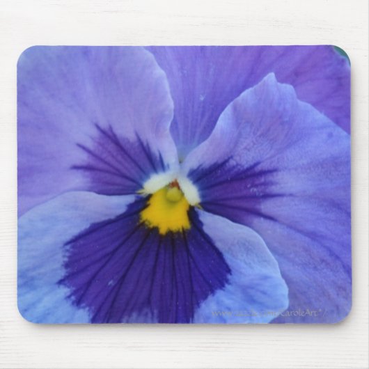 1 Blue Beauty Pansy Muismat (Voorkant)