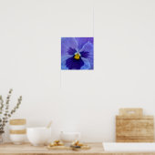 1 Blue Beauty Pansy Poster (Keuken)