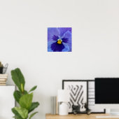 1 Blue Beauty Pansy Poster (Thuiskantoor)