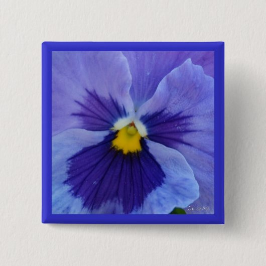 1 Blue Beauty Pansy Vierkante Button 5,1 Cm (Voorkant)