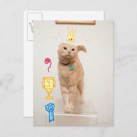 #1 Cat Briefkaart (Voorkant / Achterkant)