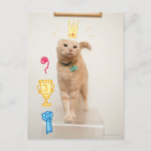 #1 Cat Briefkaart (Voorkant)