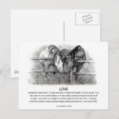 1 Corinthians 13: Liefde, paarden in potlood Briefkaart (Voorkant / Achterkant)