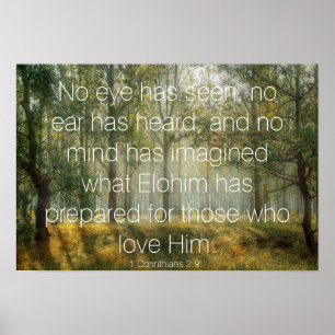 1 Corinthians 2:9 Bijbelverse Forest Scene Foto Poster