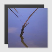 #1-Etang van Scamandre in Camargue. Aimant (Voorkant / Achterkant)