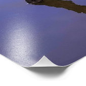 #1-Etang van Scamandre in Camargue. Foto Afdruk (Hoek)