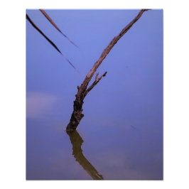 #1-Etang van Scamandre in Camargue. Foto Afdruk