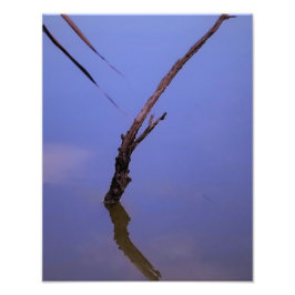 #1-Etang van Scamandre in Camargue. Foto Afdruk