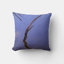 #1-Etang van Scamandre in Camargue. Kussen