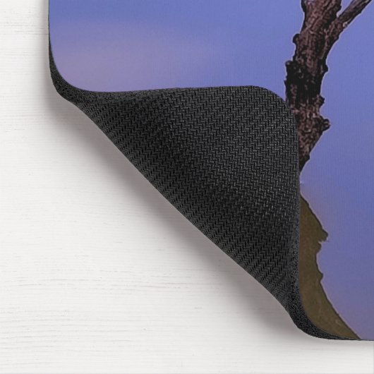 #1-Etang van Scamandre in Camargue. Muismat (Hoek)