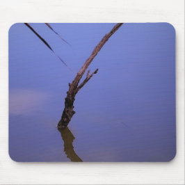 #1-Etang van Scamandre in Camargue. Muismat