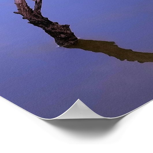 #1-Etang van Scamandre in Camargue. Poster (Hoek)