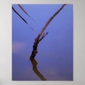 #1-Etang van Scamandre in Camargue. Poster (Voorkant)