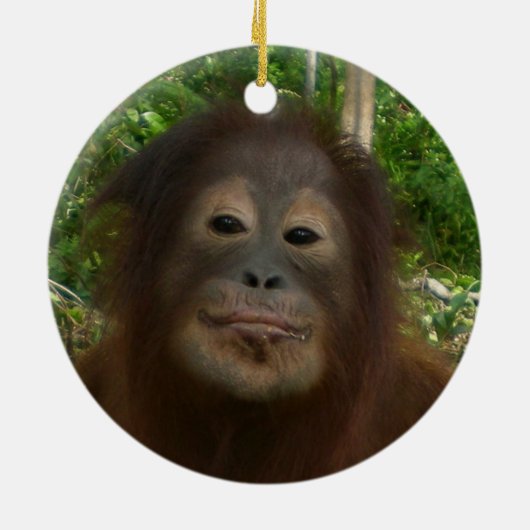 #1 fan van Krista Orangutan Keramisch Ornament (Achterkant)