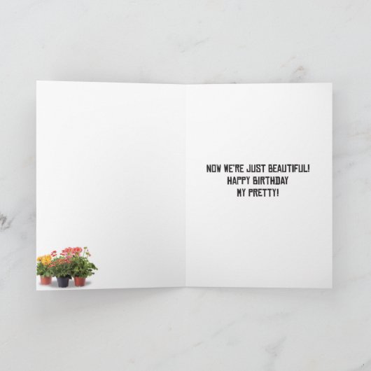 1 Grappige Kaart voor Verjaardagen - Jong en Mooi (Binnen)