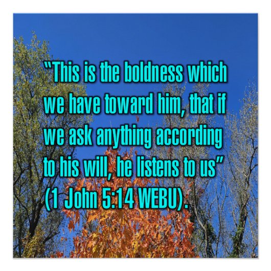 1 Johannes 5:14 WEBU Perfect Poster (Voorkant)