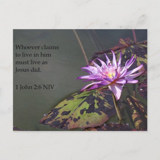 1 John 2:6 Paarse Pond Lily Post Card Briefkaart (Voorkant)