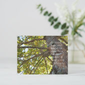 1 Korintiërs 13:13 Boomtakken Briefkaart (Staand voorkant)