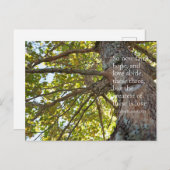 1 Korintiërs 13:13 Boomtakken Briefkaart (Voorkant / Achterkant)