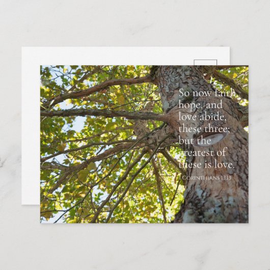 1 Korintiërs 13:13 Boomtakken Briefkaart (Voorkant / Achterkant)