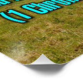 1 Kronieken 29:12 WEBU Perfect Poster (Hoek)