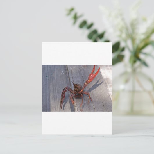 1 langoest briefkaart (Staand voorkant)