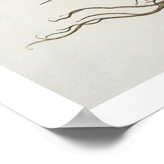 1.Melocactus; 2.Rosa Hiericontea aperta; 3.Rosa Hi Poster (Hoek)