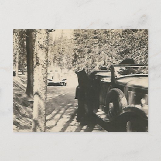 1 op 2 beren in de auto briefkaart (Voorkant)