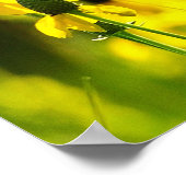 1 Peter 1:23 Inspirerend Poster (Hoek)