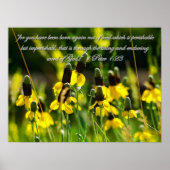 1 Peter 1:23 Inspirerend Poster (Voorkant)