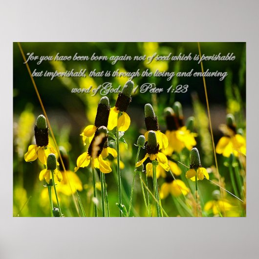 1 Peter 1:23 Inspirerend Poster (Voorkant)