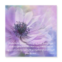 1 Peter 1:3 Lavender Flower | Verbouwingsrooster