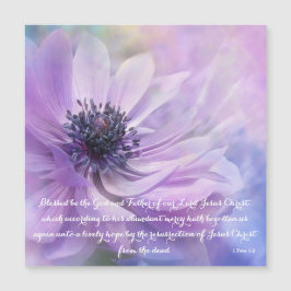1 Peter 1:3 Lavender Flower | Verbouwingsrooster