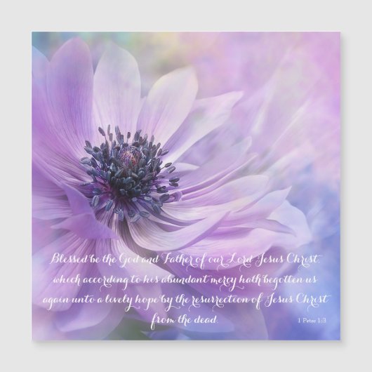 1 Peter 1:3 Lavender Flower | Verbouwingsrooster (Voorkant)