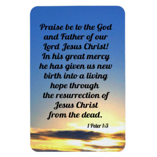 1 Peter 1:3 Magneet