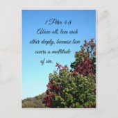 1 Peter 4:8 Bovenal, hou diep van elkaar Briefkaart (Voorkant)