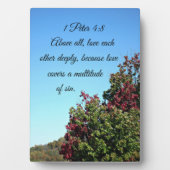 1 Peter 4:8 Bovenal, hou diep van elkaar Fotoplaat (voorkant)