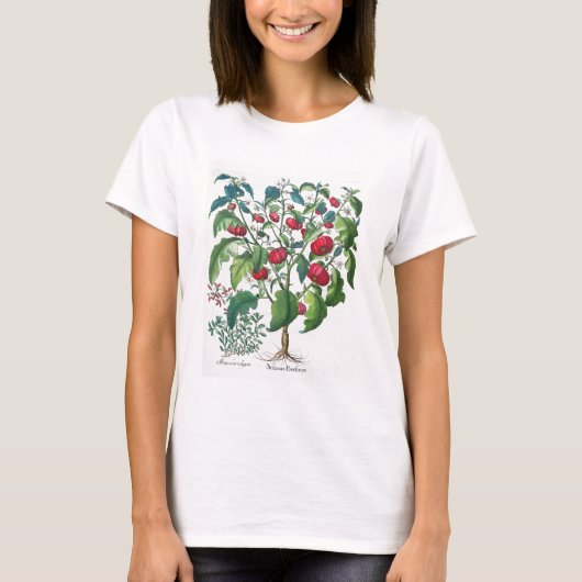 1.Solanum Pomiferum; 2.Amaracus vulgaris uit de T-shirt (Voorkant)