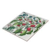 1.Solanum Pomiferum 2.Amaracus vulgaris uit de Tegeltje (Zijkant)