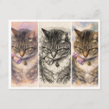 1 Stemming + 3 Sfeerbeelden = Totale Purrfectie